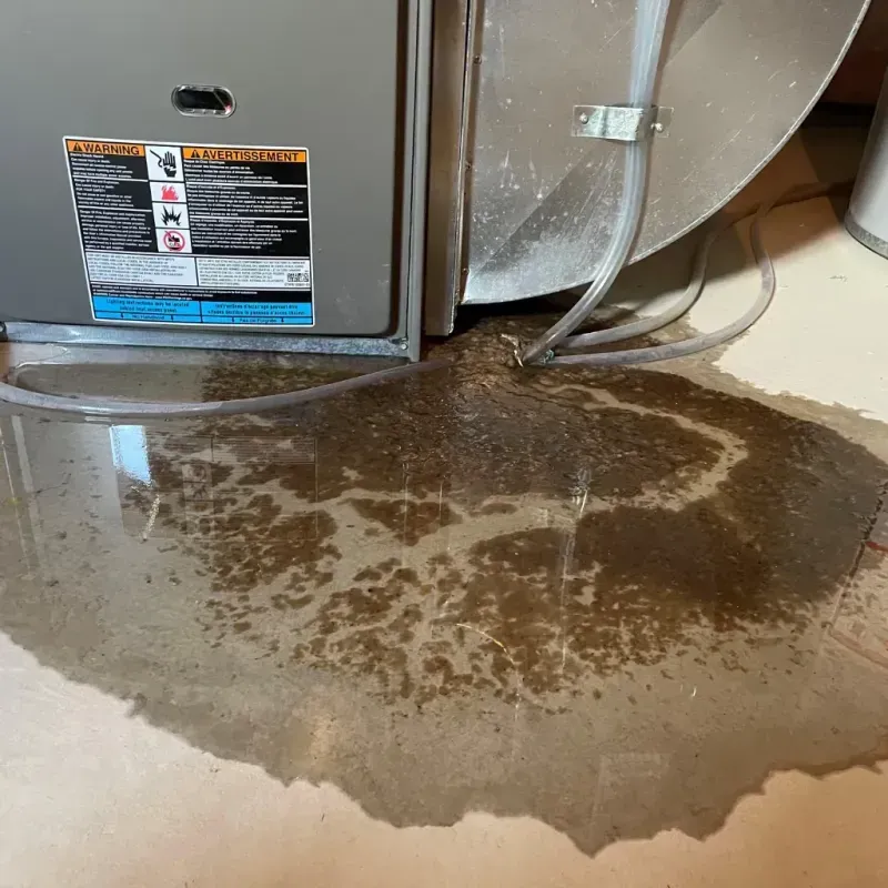 Appliance Leak Cleanup in Tyrrell County, NC